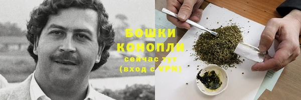 mdpv Лабытнанги