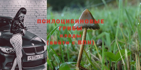 твердый Аркадак