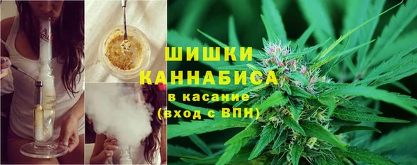 ПСИЛОЦИБИНОВЫЕ ГРИБЫ Ладушкин