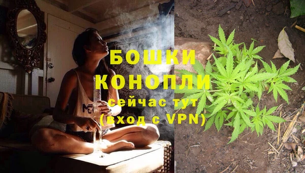 твердый Аркадак