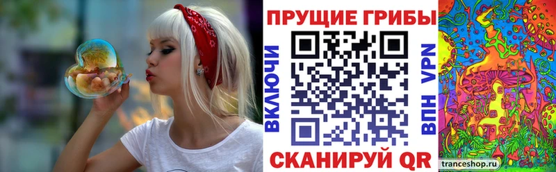Псилоцибиновые грибы мухоморы  как найти   Качканар 