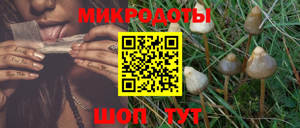 Качканар  Галлюциногенные грибы ЛСД  Вход с VPN 